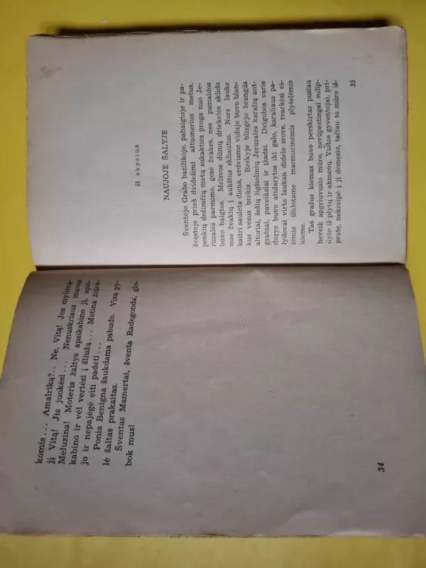 Balduinas IV. Raupsuotasis karalius. Istorinė apysaka - Sofija Kossak, knyga 4