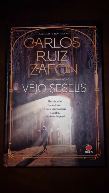Vėjo šešėlis - Carlos Ruiz Zafon, knyga 2
