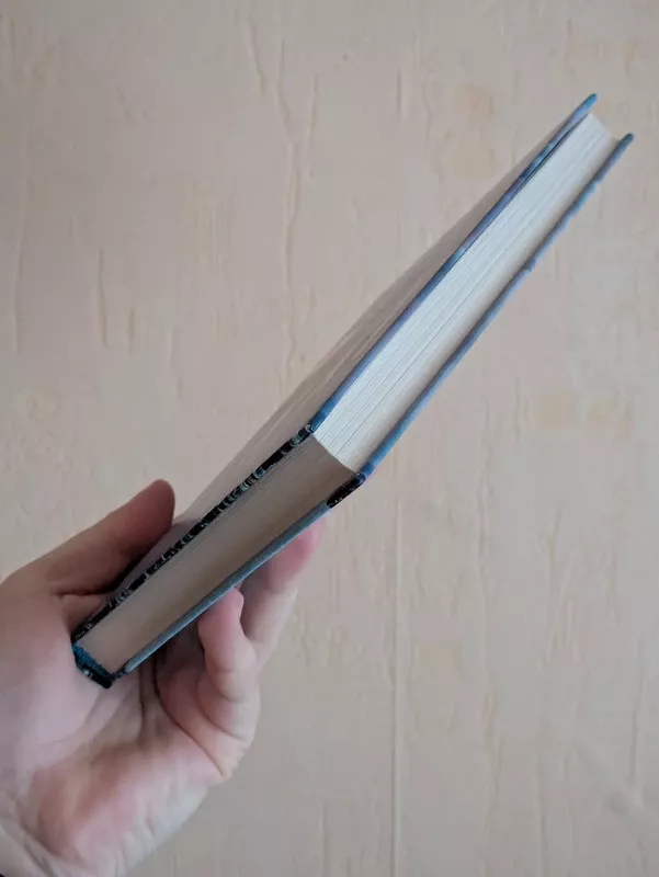 Orai - Jenny Offill, knyga 4