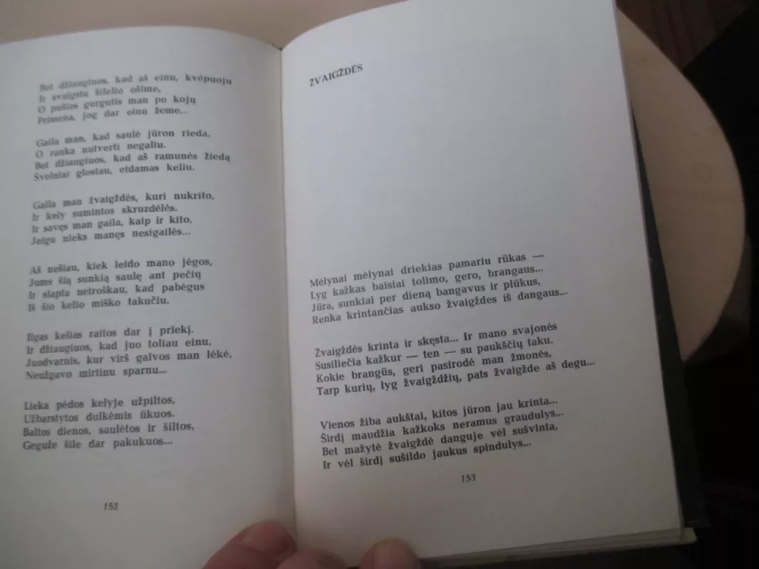 Saulė gintare - Eduardas Mieželaitis, knyga 6