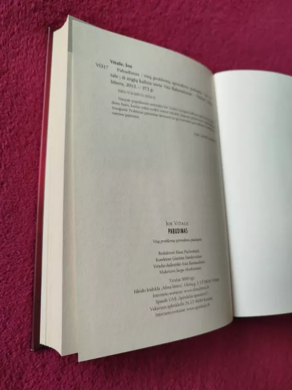 Pabudimas. Visų problemų sprendimo paslaptis - Joe Vitale, knyga 5