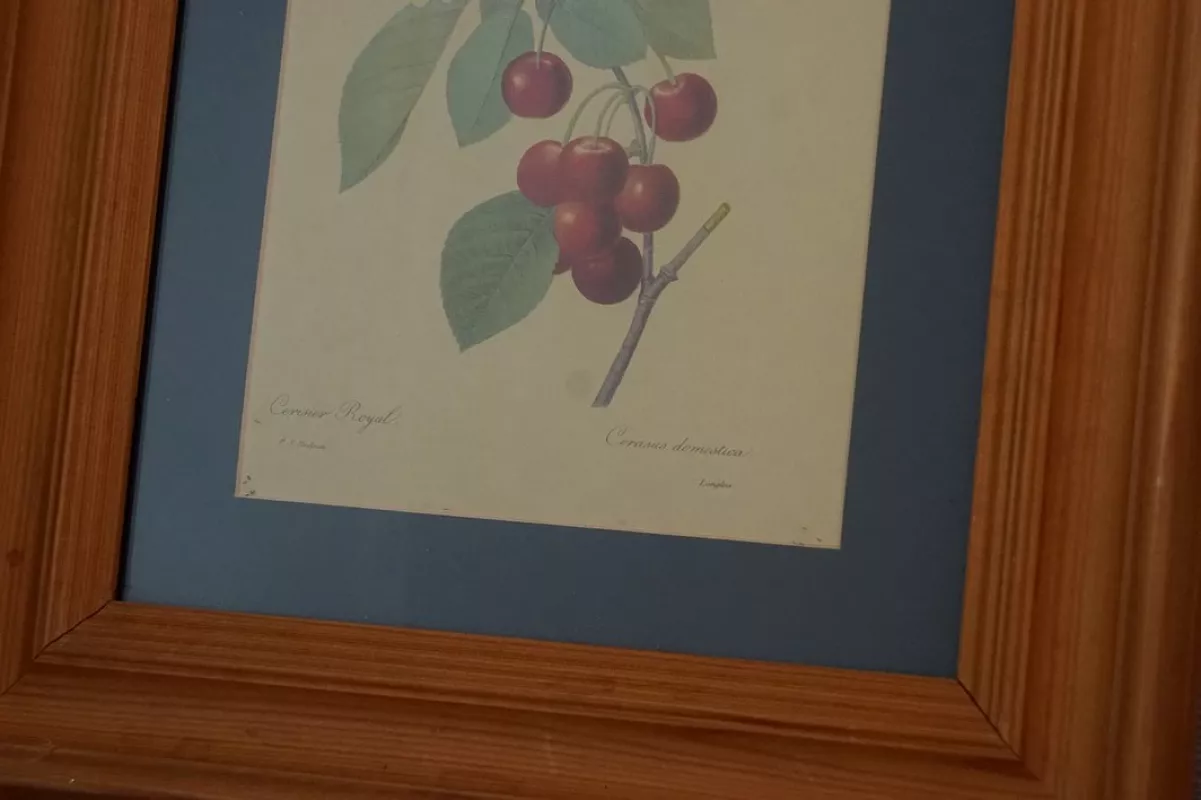 Senovine litografija - , namai ir interjeras 3