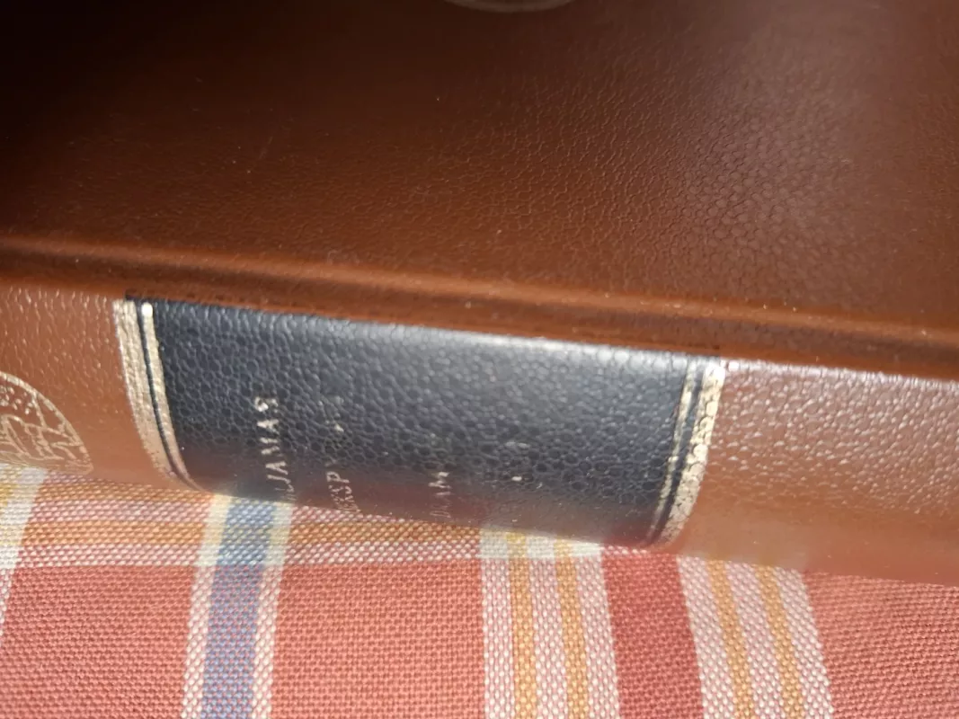 Dramos Sonetai - Viljamas Šekspyras, knyga 3