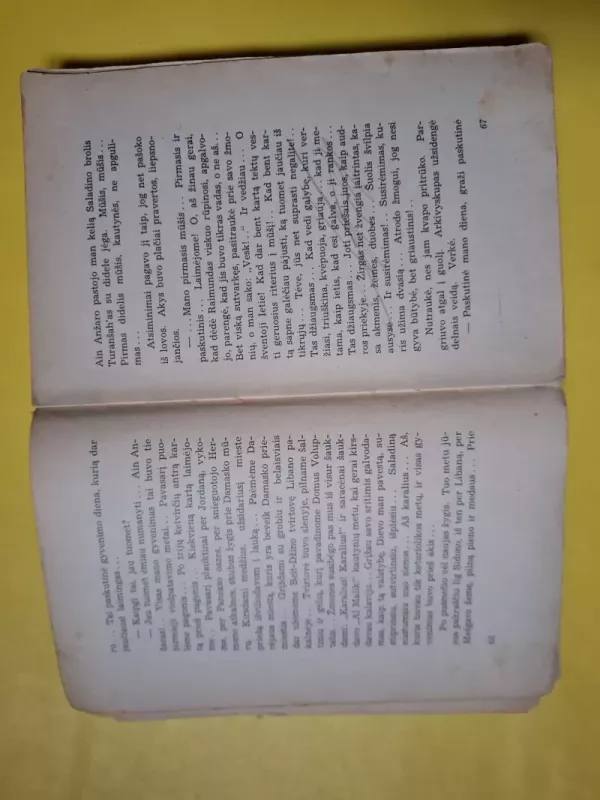 Balduinas IV. Raupsuotasis karalius. Istorinė apysaka - Sofija Kossak, knyga 5