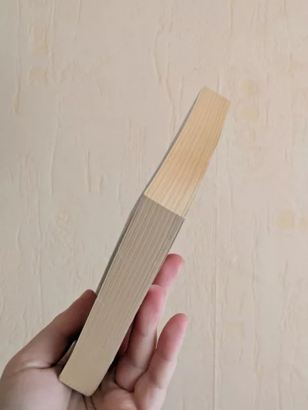 Oona & Salinger - Frederic Beigbeder, knyga 6