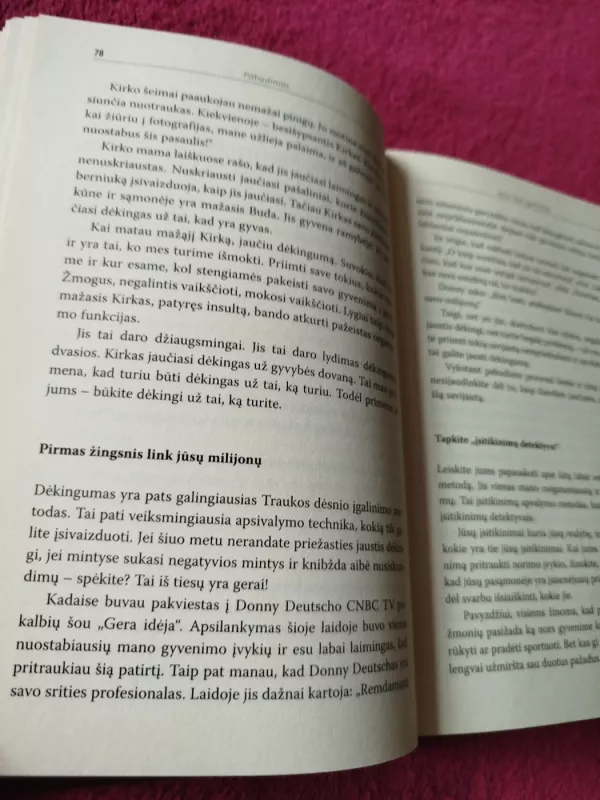 Pabudimas. Visų problemų sprendimo paslaptis - Joe Vitale, knyga 4