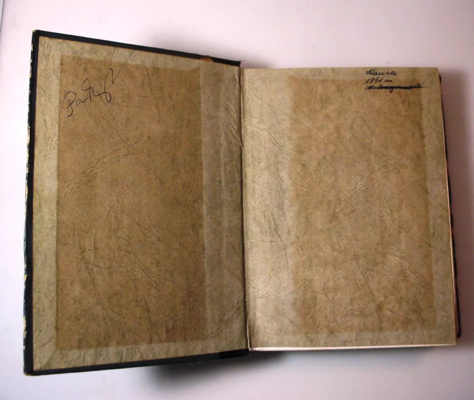 Jaunuolis - Fiodoras Dostojevskis, knyga 5