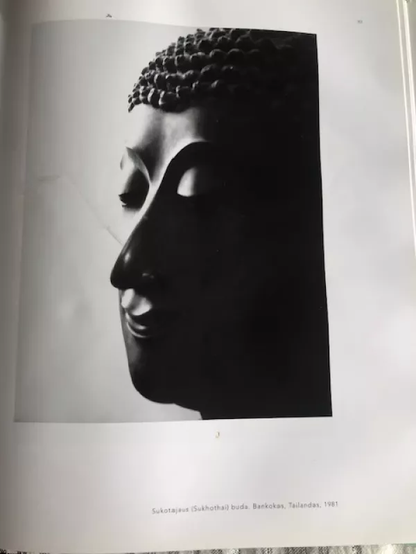 Prisilietimas. Contact (Nuotraukų albumas) - Alphonso Lingis, knyga 5