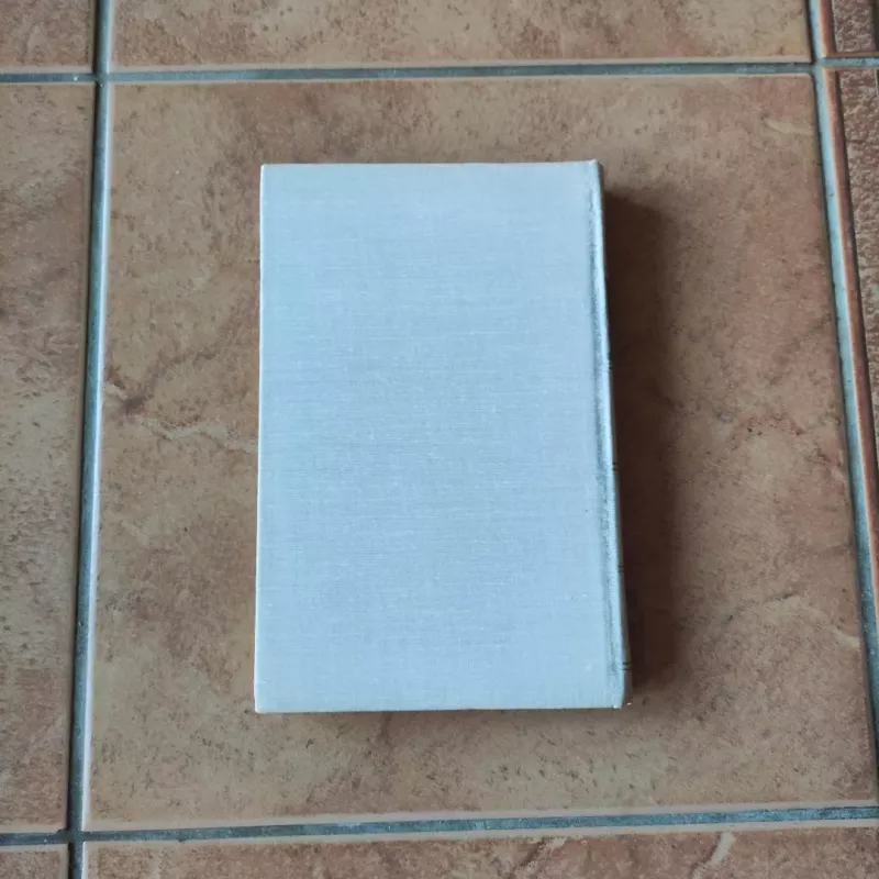 Naujasis baras - Ivanas Turgenevas, knyga 4