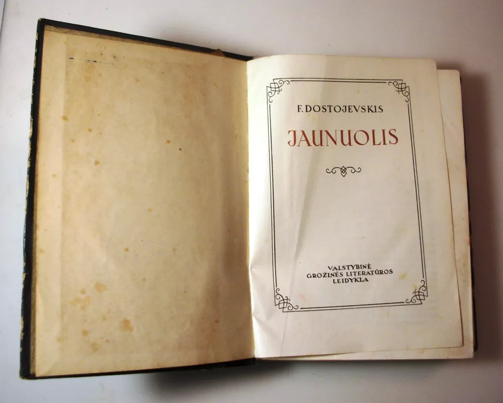 Jaunuolis - Fiodoras Dostojevskis, knyga 6