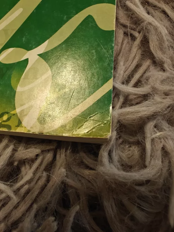 Teksto suvokimas ir kūrimas - Roma Rusteikienė, Ramunė  Šmitienė, knyga 4