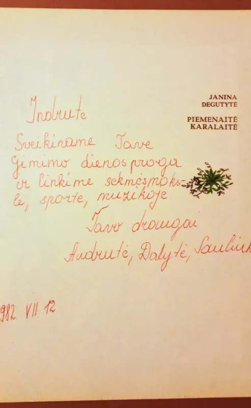 Piemenaitė karalaitė - Janina Degutytė, knyga 4
