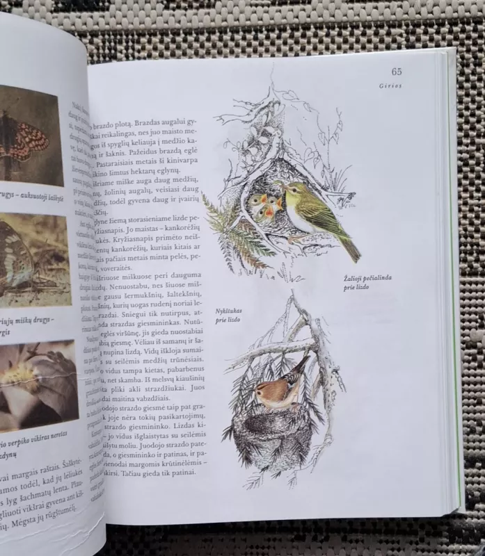 Lietuvos gamta - R. Kazlauskas, D.  Kazlauskienė, knyga 4