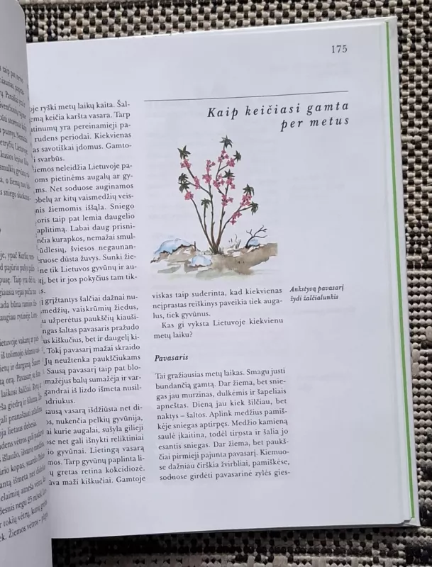 Lietuvos gamta - R. Kazlauskas, D.  Kazlauskienė, knyga 5