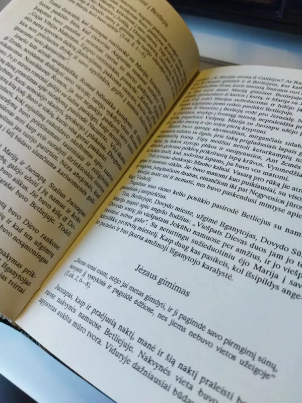 Jėzaus motinos Marijos gyvenimas - Dr.F. Willam, knyga 6