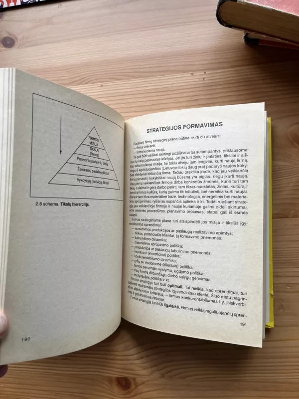 Firmos kūrimas ir valdymas - Antanas Seilius, knyga 4