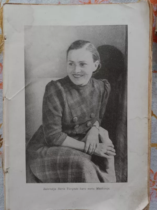 Poezoja antras tomas Eilėraščiai, neįėję į rinkinius, juodraščiai, fagmentai, vertimai 1921-1945 - Salomėja Nėris, knyga 3