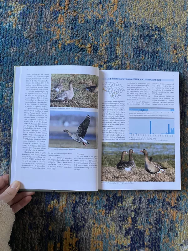 "Nauji ir reti paukščiai Lietuvoje" - Vytautas Jusys, knyga 4