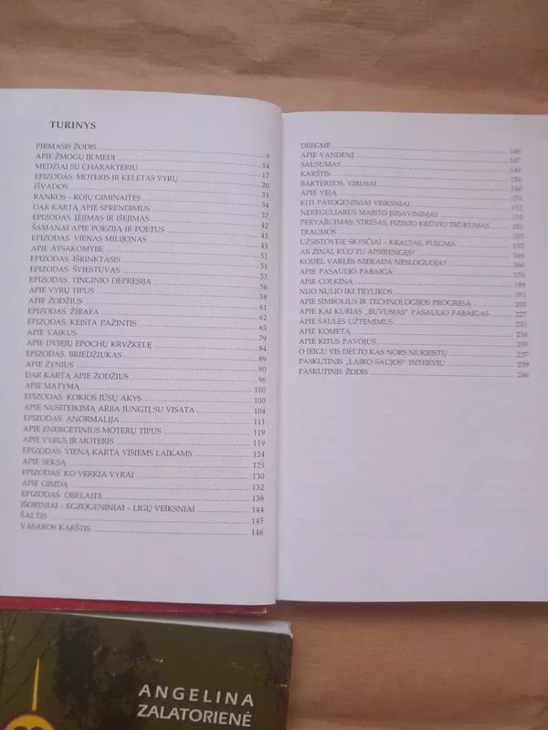 Nėra - negali būti (Laiko sauja II d.) - Angelina Zalatorienė, knyga 5