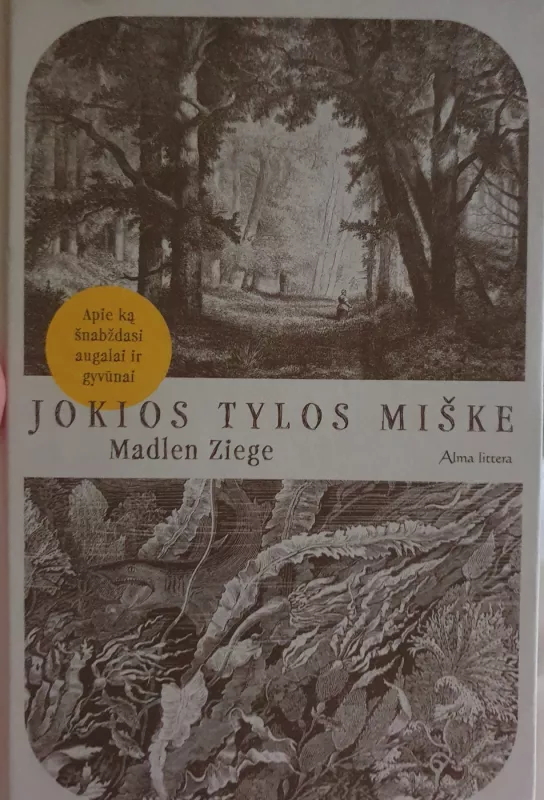 Jokios tylos miške - Madlen Ziege, knyga 2