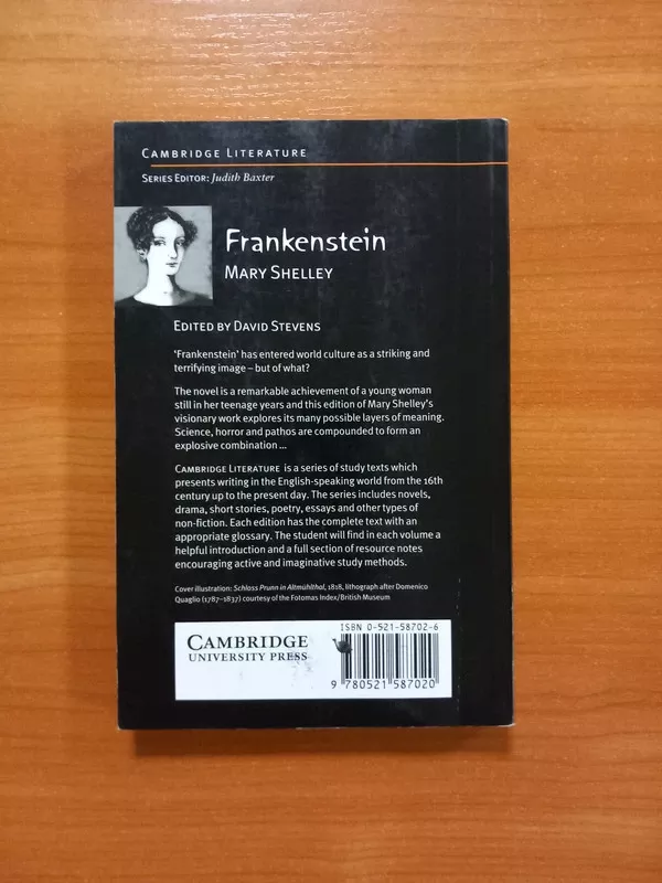 Frankenstein - Mary Shelley, knyga 4