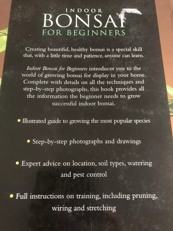 Indoor Bonsai for Beginners: Selection - Care - Training - Werner Busch , knyga 3