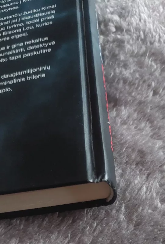 Praeities demonai - Angela Marsons, knyga 5