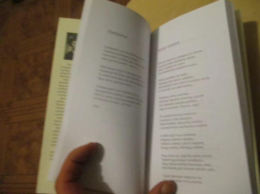 Keliuku palei kelią - Stefa Daukšienė-Večerskytė, knyga 6