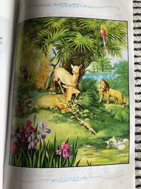 Biblija vaikams - vaikams Biblija, knyga 5