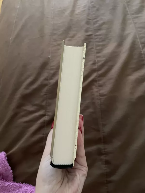 Taikiklyje - Taylor Adams, knyga 4