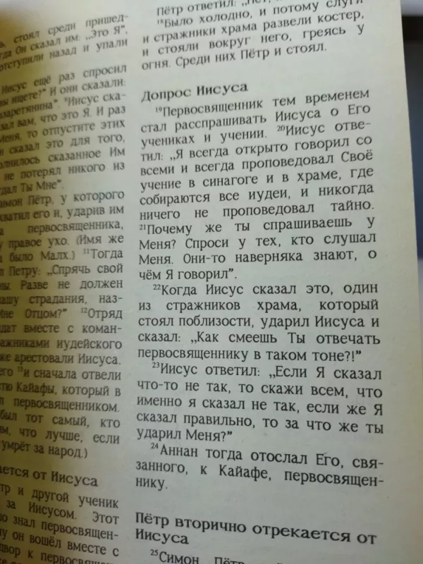 Blagaja vest Novy Zavet - Pasaulio vertimų centras, knyga 6