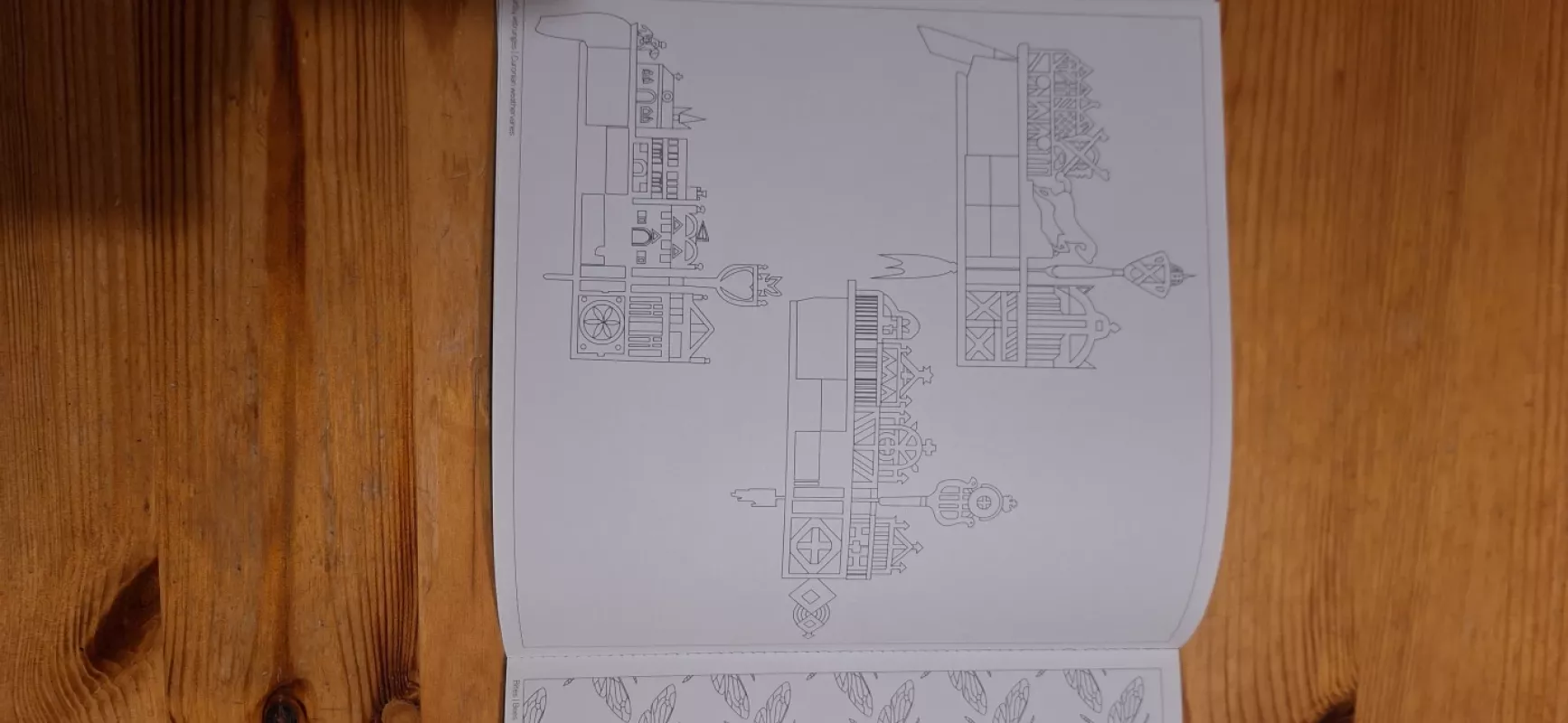 Spalvinimo skrynia Treasures of Lithuania - Marija Puipaitė, knyga 5