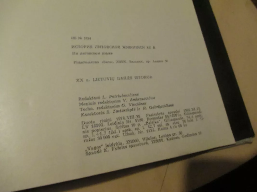 XX a. lietuvių dailės istorija I tomas - Autorių Kolektyvas, knyga 4