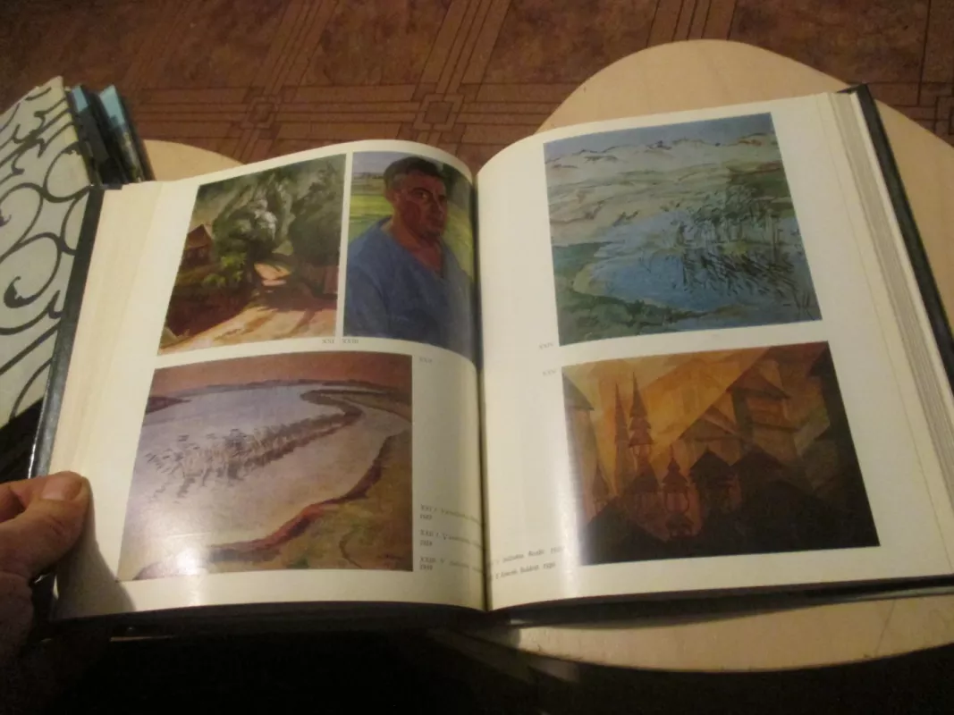 XX a. lietuvių dailės istorija I tomas - Autorių Kolektyvas, knyga 5