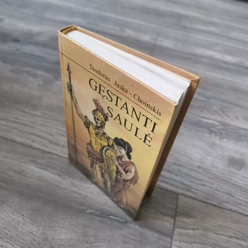 Gęstanti saulė - Teodoras Jaske-Choinskis, knyga 3