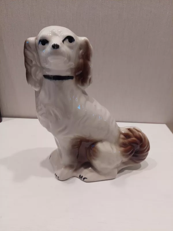 Suvenyras - , namai ir interjeras 2