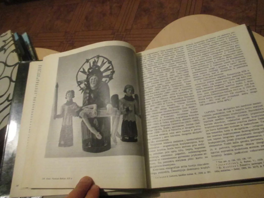 XX a. lietuvių dailės istorija I tomas - Autorių Kolektyvas, knyga 6
