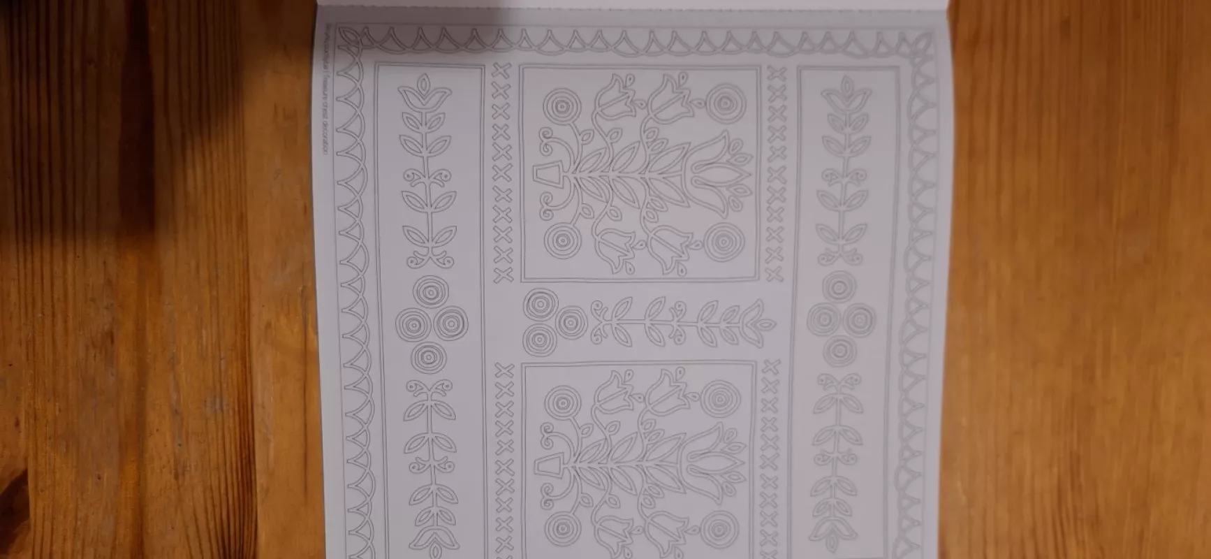 Spalvinimo skrynia Treasures of Lithuania - Marija Puipaitė, knyga 6