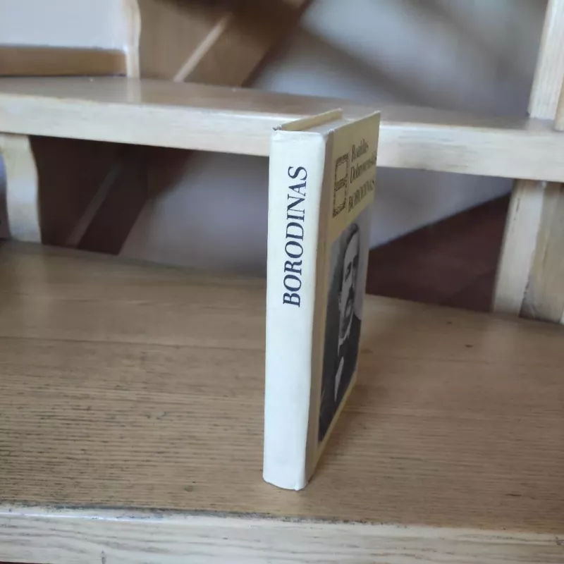 Borodinas - Roaldas Dobrovenskis, knyga 4