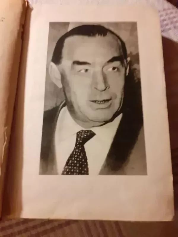 Laikas gyventi ir laikas mirti - Erichas Marija Remarkas, knyga 4