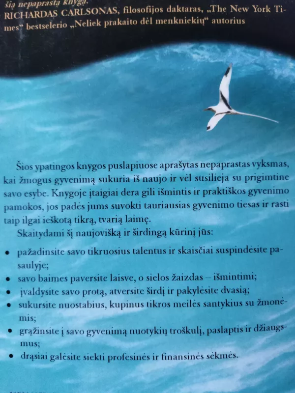 Šventasis, banglentininkas ir vadovas - Robin Sharma, knyga 4
