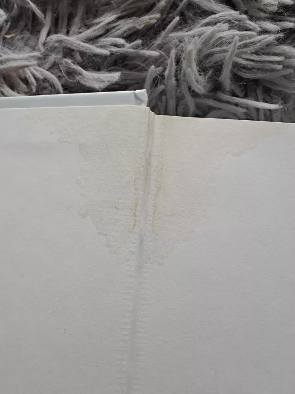 Afgancai - Rodric Braithwaite, knyga 3