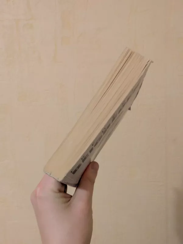 Prancūziškas romanas - Frederic Beigbeder, knyga 5