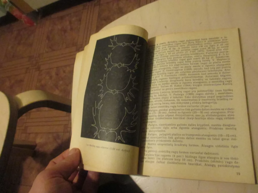 Briedis - R. Baleišis, knyga 6