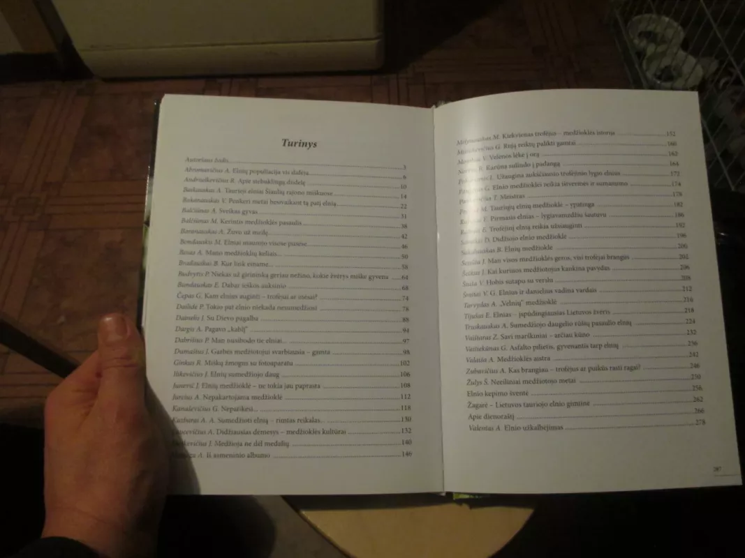 Užmaurojo girioj elnias - Kostas Slivskis, knyga 6