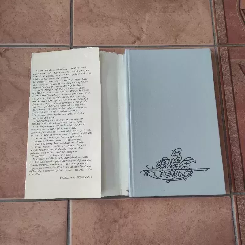 Artėjimas - Alfonsas Maldonis, knyga 4