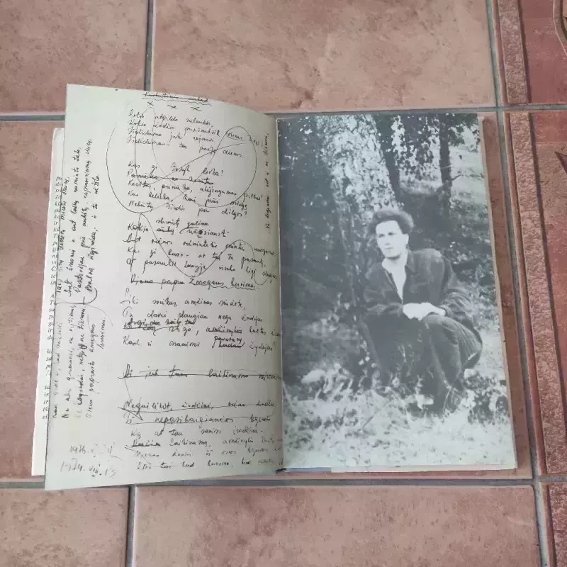 Artėjimas - Alfonsas Maldonis, knyga 3