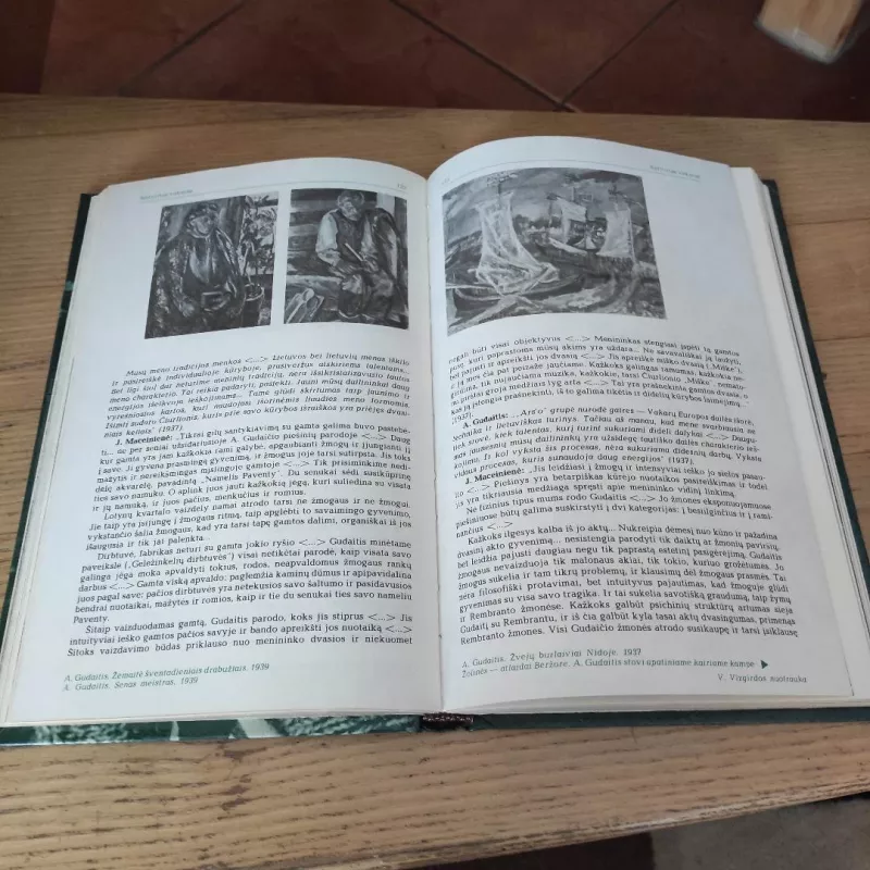 Antanas Gudaitis - Tomas Sakalauskas, knyga 6