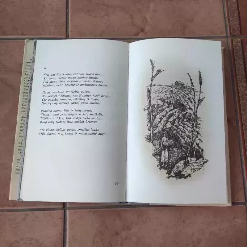 Artėjimas - Alfonsas Maldonis, knyga 5