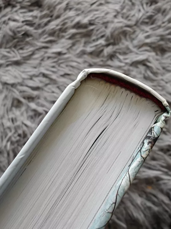 Afgancai - Rodric Braithwaite, knyga 4